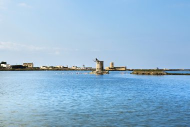 trapani salin