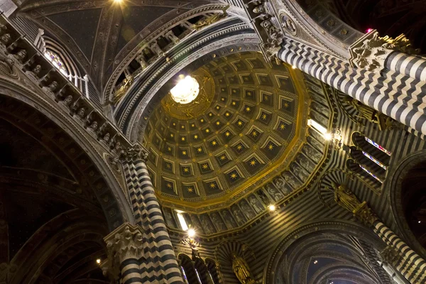 Siena — Stock Photo, Image