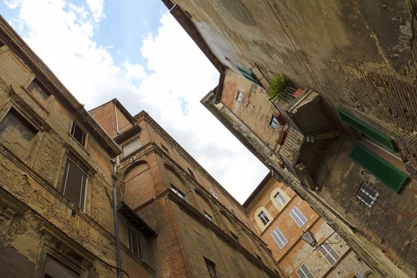 Siena. — Fotografia de Stock