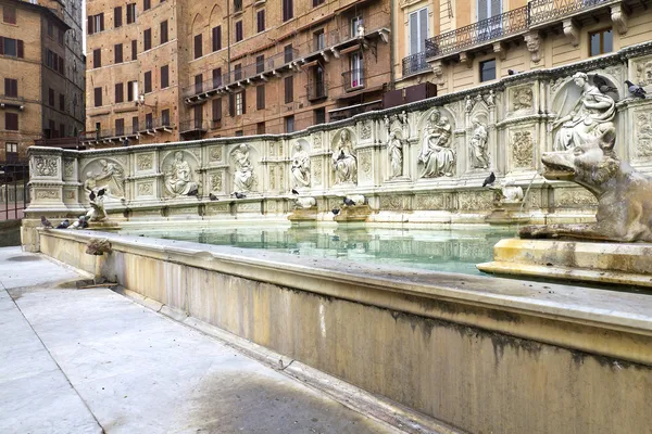 Siena. — Fotografia de Stock