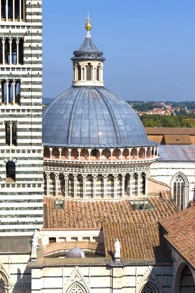 Siena. — Fotografia de Stock