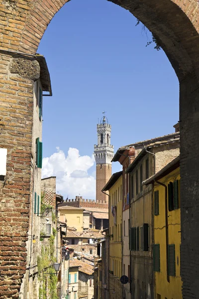 Siena. — Fotografia de Stock