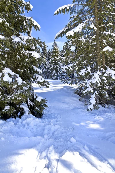 Monte Verena — Stockfoto