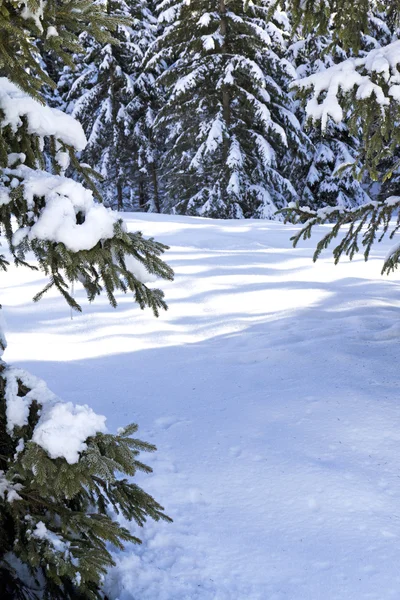 Monte Verena — Stockfoto