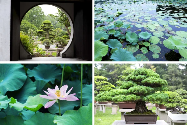 Китай Лицензионные Стоковые Фото