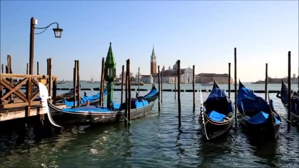 Venedig, Italien — Stockvideo