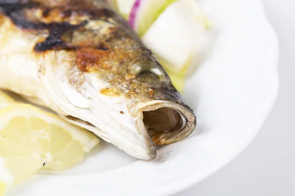 Fish — Stock Photo, Image