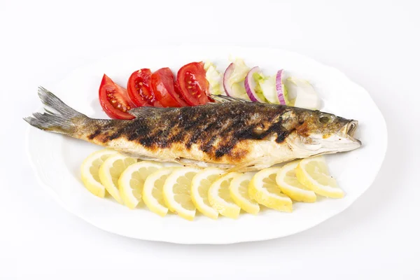 Fish — Stock Photo, Image