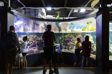 GENOVA, İtalya, 19 Temmuz 2019: İtalya 'nın en büyük akvaryumu ve Avrupa' nın en büyük akvaryumu olan Ceneviz Akvaryumu 'nu ziyaret etmek. Cenova akvaryumunun güzel manzarası. Çok çeşitli su hayvanları..