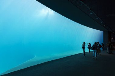 GENOVA, İtalya, 19 Temmuz 2019: İtalya 'nın en büyük akvaryumu ve Avrupa' nın en büyük akvaryumu olan Ceneviz Akvaryumu 'nu ziyaret etmek. Cenova akvaryumunun güzel manzarası. Çok çeşitli su hayvanları..