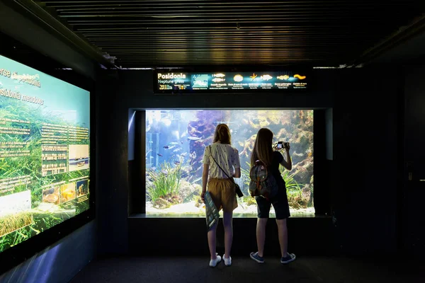 Genova Italie Juillet 2019 Visite Dans Célèbre Aquarium Gênes Grand — Photo