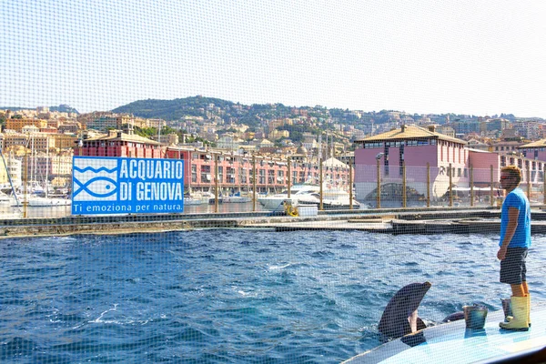 Genova Italy Липня 2019 Візит Знаменитий Акваріум Генуї Показ Дельфінів — стокове фото