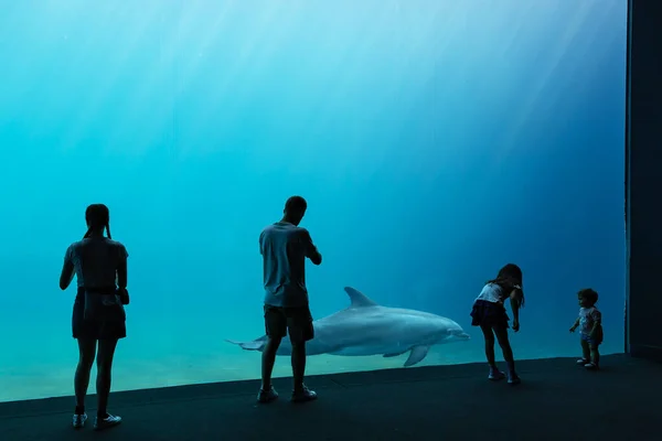 Genova Italië Juli 2019 Een Bezoek Aan Het Beroemde Aquarium — Stockfoto