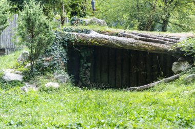 Animals in their reconstructed natural habitat. Zoological park