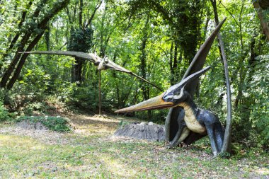 20 Temmuz 2019 'da Bussolengo, İtalya' daki Natura Viva Parkı 'nda dev bir dinozorun yeniden yapılandırılmasını canlandırdı..