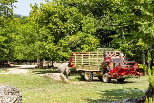 Animals Reconstructed Natural Habitat Zoological Park — Stock Photo, Image