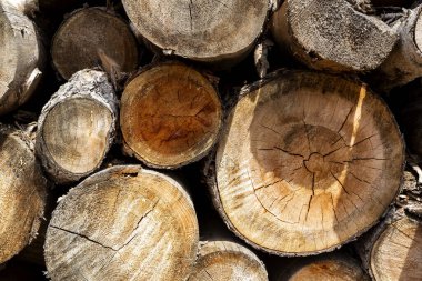 Natural wooden background, closeup of chopped firewood. Firewood stacked for winter.