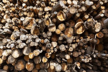 Natural wooden background, closeup of chopped firewood. Firewood stacked for winter.