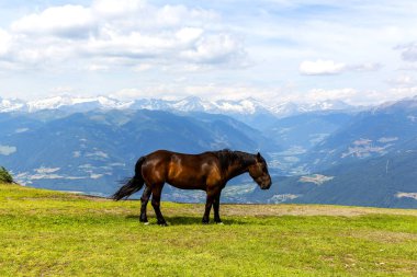 Kronplatz 'ın (Plan de Corones) arka planda dağ aralığı ile güzel bir manzarası, İtalya