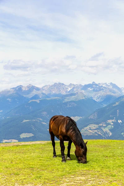 Gyönyörű Kilátás Nyílik Kronplatz Plan Corones Hegyvonulattal Háttérben Olaszország — Stock Fotó