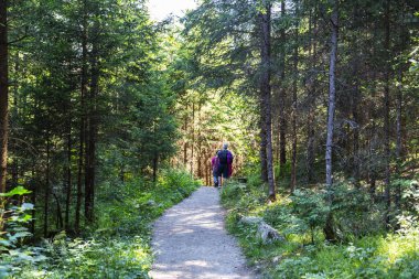 Güney Tyrol, İtalya 'daki San Francesco yolu ve Riva şelaleleri.