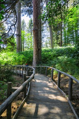 Sila 'nın Devleri. Sila Milli Parkı