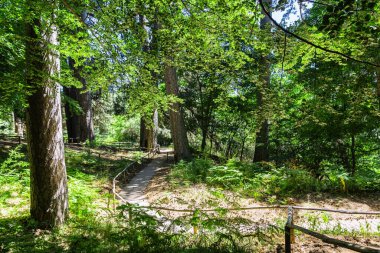 Sila 'nın Devleri. Sila Milli Parkı