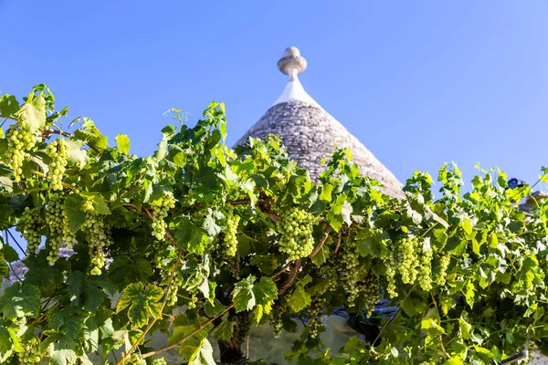 Alberobello Apulien Italien Urbana Landskap Med Trulli Ursprungliga Och Antika — Stockfoto