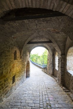 Marche bölgesinde, Ancona ilindeki Serra San Quirico kasabasının manzarası.