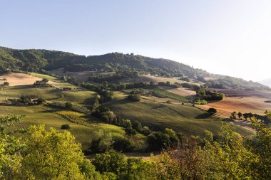 Marche bölgesinde, Ancona ilindeki Serra San Quirico kasabasının manzarası.