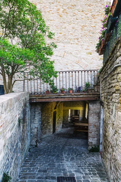 Vue Petite Ville Serra San Quirico Dans Province Ancône Dans — Photo