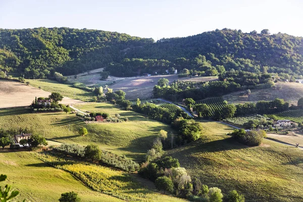 Marche bölgesinde, Ancona ilindeki Serra San Quirico kasabasının manzarası.