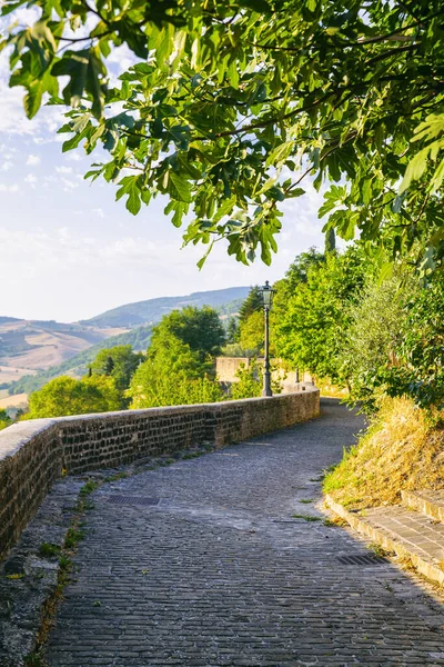 Marche bölgesinde, Ancona ilindeki Serra San Quirico kasabasının manzarası.