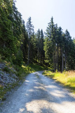 Güney Tyrol 'daki harika dağ yürüyüşü rotası. Güzel doğal manzaralar. Doğa ve spor