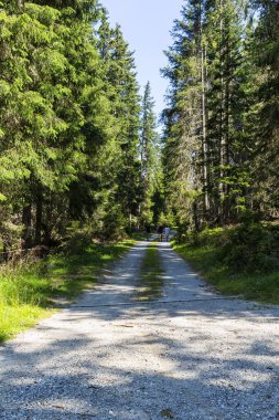 Güney Tyrol 'daki harika dağ yürüyüşü rotası. Güzel doğal manzaralar. Doğa ve spor
