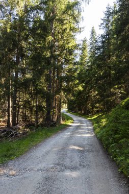 Güney Tyrol 'daki harika dağ yürüyüşü rotası. Güzel doğal manzaralar. Doğa ve spor