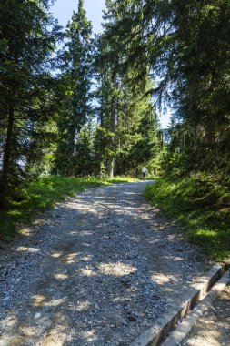 Güney Tyrol 'daki harika dağ yürüyüşü rotası. Güzel doğal manzaralar. Doğa ve spor