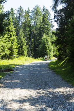 Güney Tyrol 'daki harika dağ yürüyüşü rotası. Güzel doğal manzaralar. Doğa ve spor