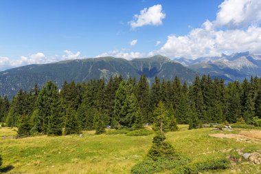 Güney Tyrol 'daki harika dağ yürüyüşü rotası. Güzel doğal manzaralar. Doğa ve spor