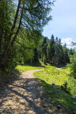Güney Tyrol 'daki harika dağ yürüyüşü rotası. Güzel doğal manzaralar. Doğa ve spor