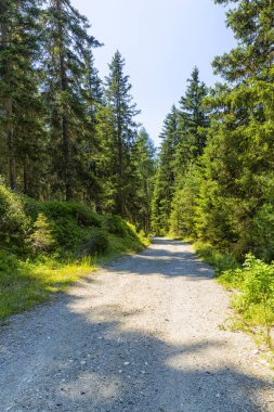 Güney Tyrol 'daki harika dağ yürüyüşü rotası. Güzel doğal manzaralar. Doğa ve spor