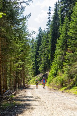 Güney Tyrol 'daki harika dağ yürüyüşü rotası. Güzel doğal manzaralar. Doğa ve spor