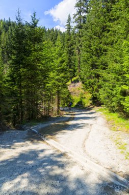 Güney Tyrol 'daki harika dağ yürüyüşü rotası. Güzel doğal manzaralar. Doğa ve spor