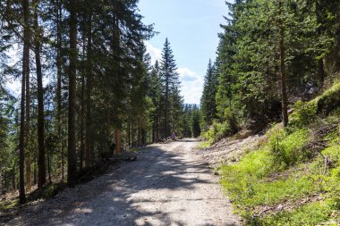 Güney Tyrol 'daki harika dağ yürüyüşü rotası. Güzel doğal manzaralar. Doğa ve spor