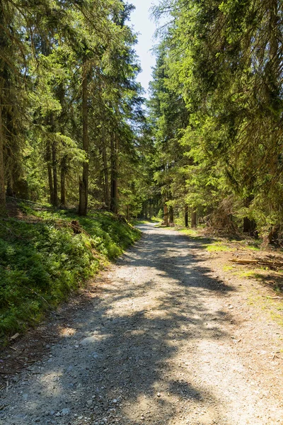 Maravilhosa Rota Trekking Montanha Sul Tirol Lindas Paisagens Naturais Natureza — Fotografia de Stock