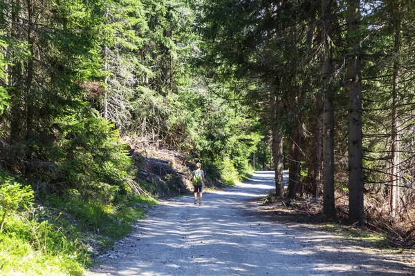 Magnifique Itinéraire Randonnée Montagne Tyrol Sud Beaux Paysages Naturels Nature — Photo