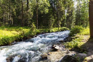 Stream in the vicinity of Lake Anterselva, a beautiful lake in South Tyrol, Italy