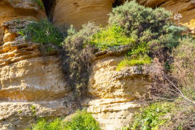 Kolymbetra Bahçesi, Agrigento Tapınak Vadisi 'ndeki arkeoloji parkının içinde.