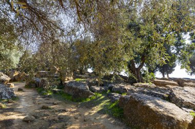 Kolymbetra Bahçesi, Agrigento Tapınak Vadisi 'ndeki arkeoloji parkının içinde.