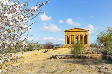 Temple of Concordia, Agrigento, Valley of the Temples, Archaeological Park clipart